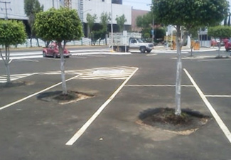 Alguien hizo una cagada al pintar las rayas de este aparcamiento.